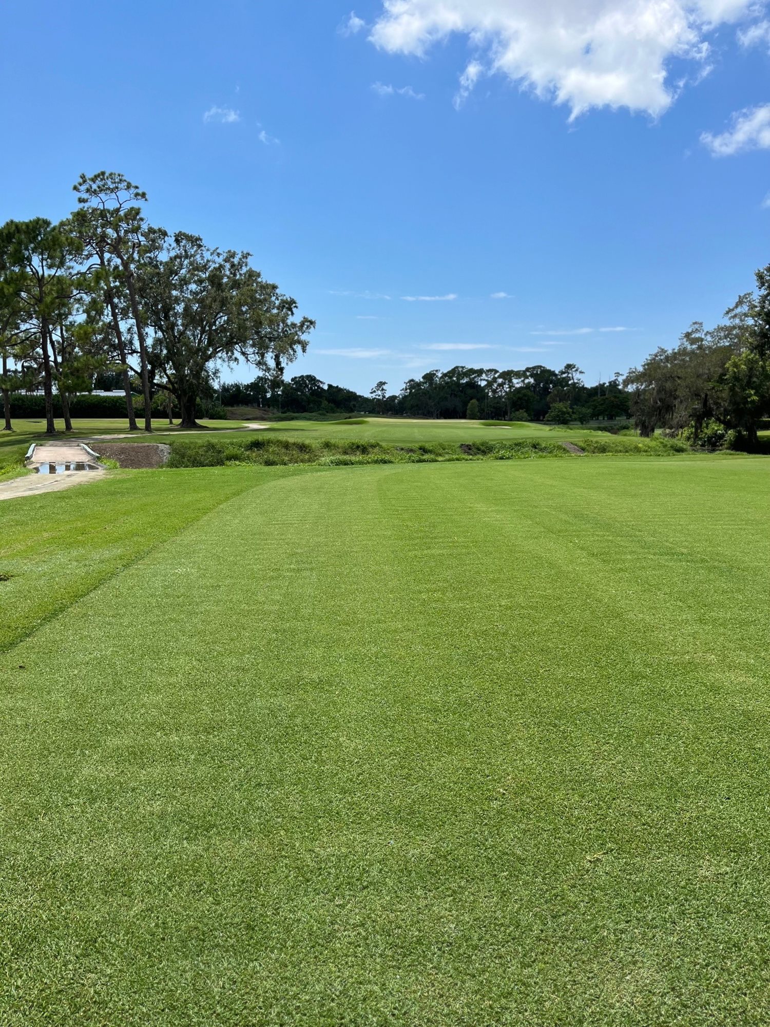 #15 Fairway Near Creek - August 2, 2023