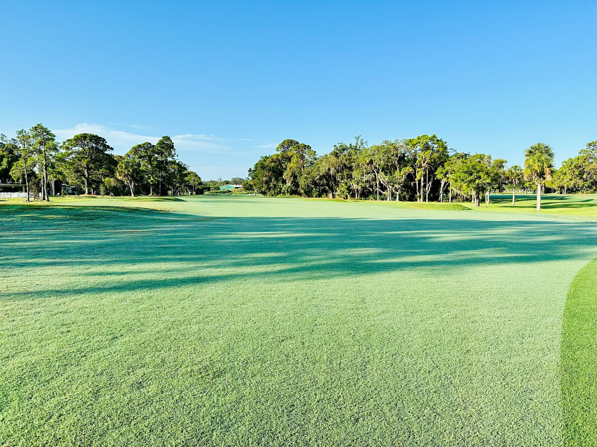 #6 Fairway 6 Weeks After Sprigging - July 13, 2023