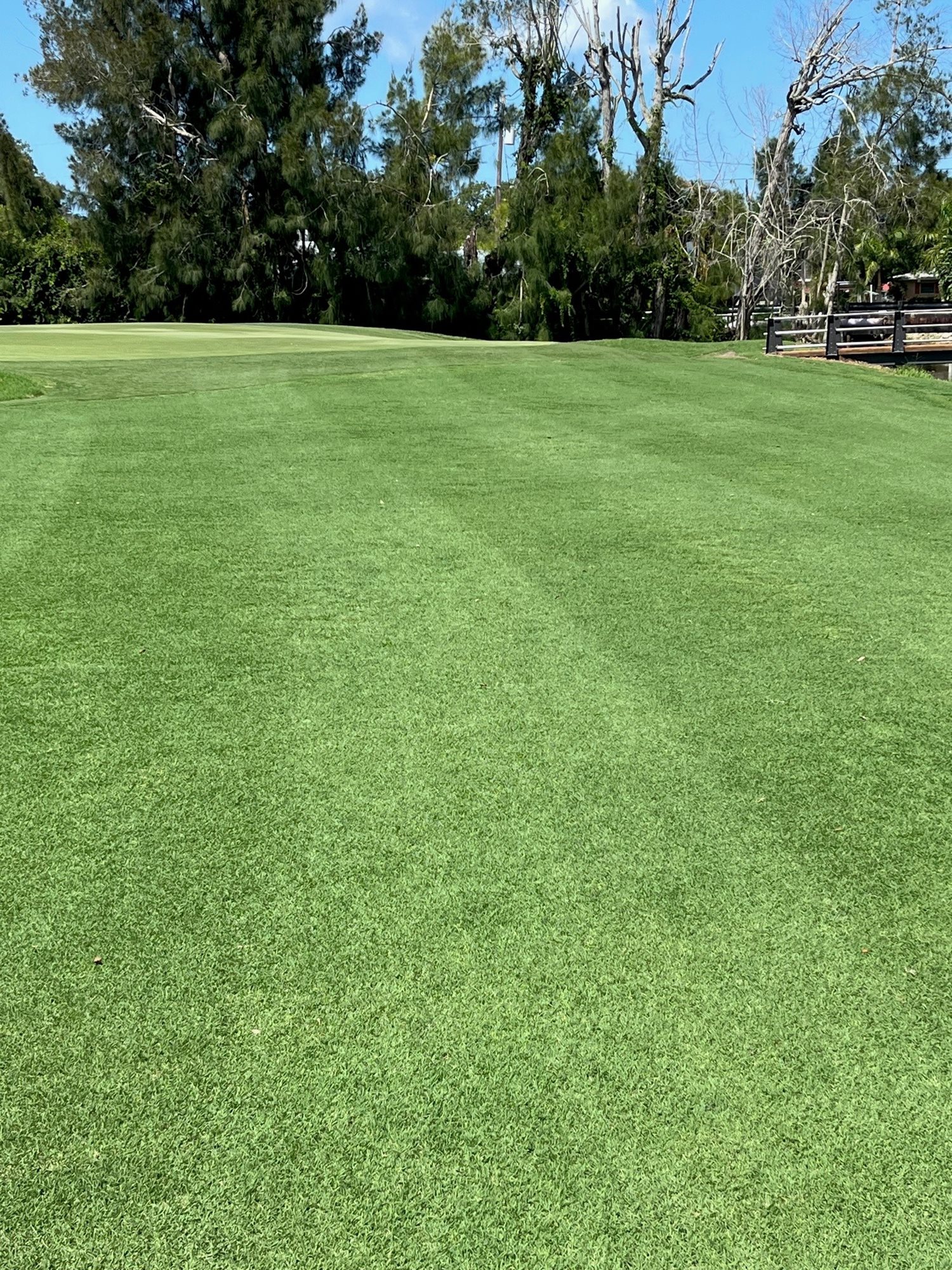 #8 Fairway Near Green - July 21, 2023