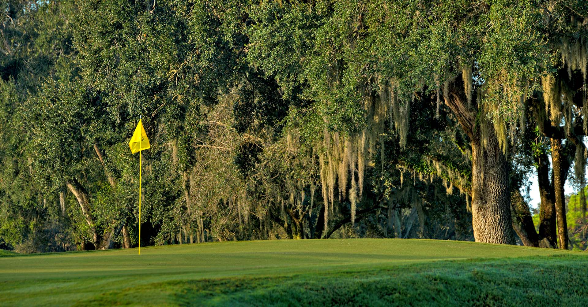 golf_banner