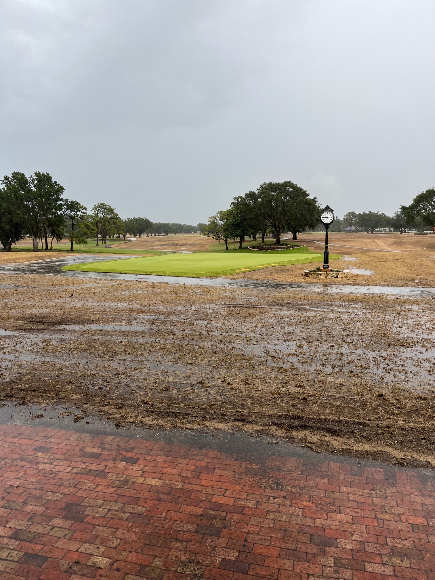 Back Clubhouse Lawn - June 2, 2023 Irrigation and Rainfall after Sprigging
