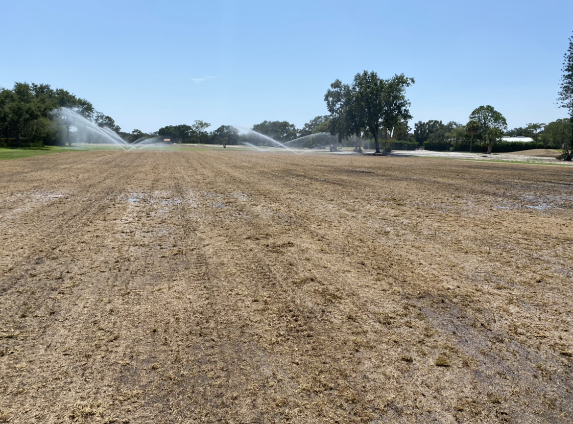 #12 - June 6, 2023 - Fairway Sprigging