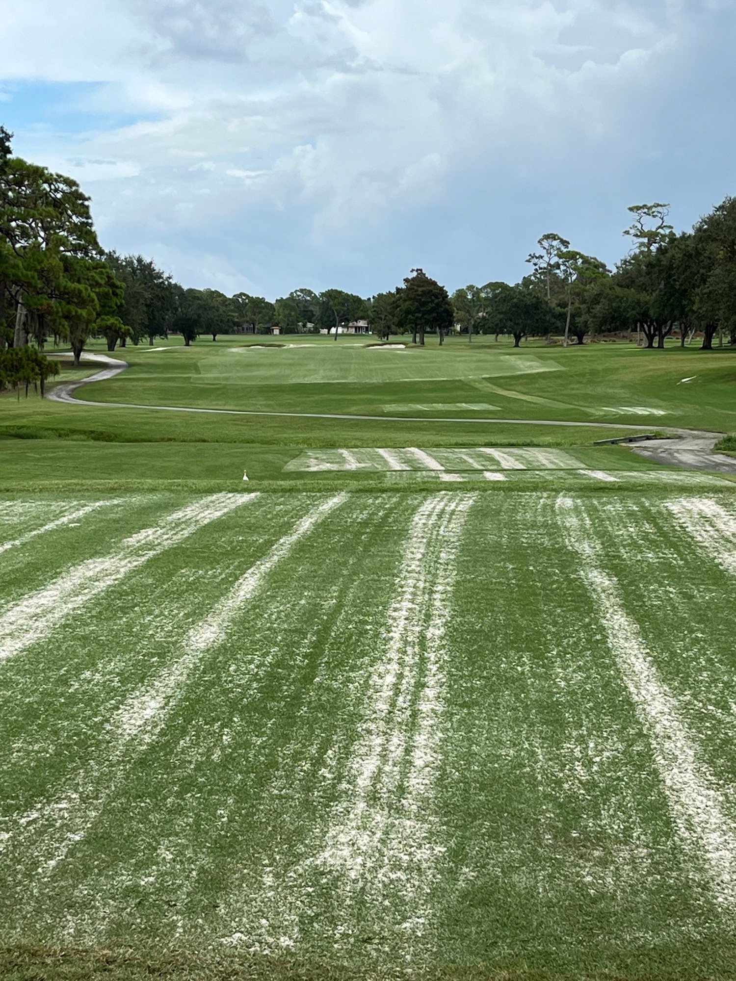 #1 Sand Topdressing - August 14, 2023