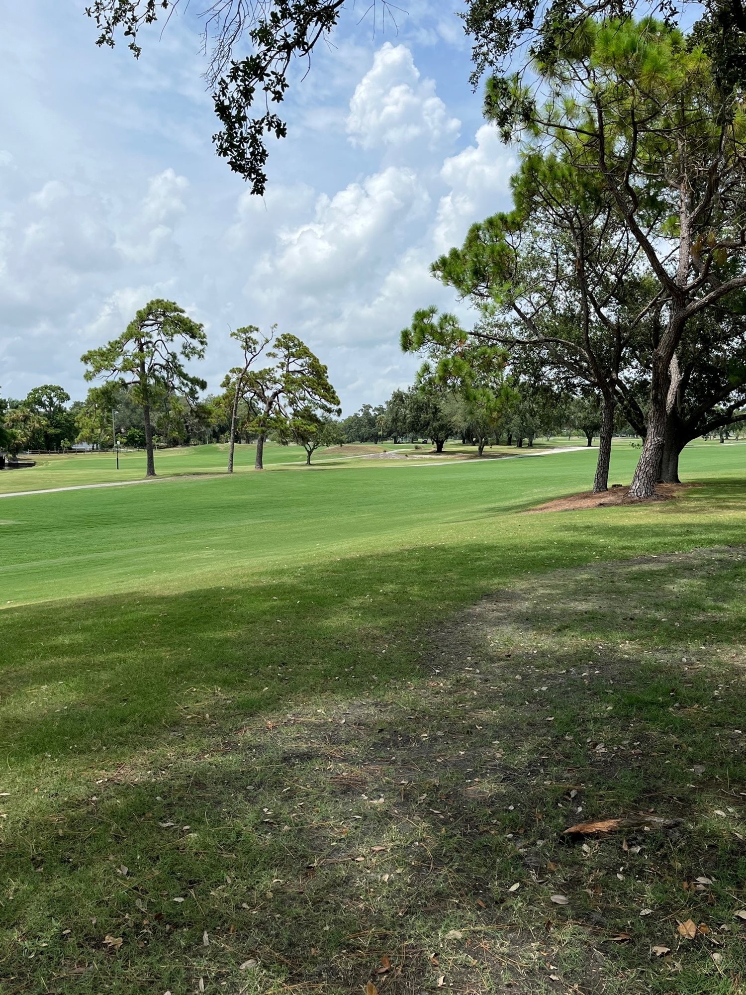 #1 and 9 Fairway - July 10, 2023