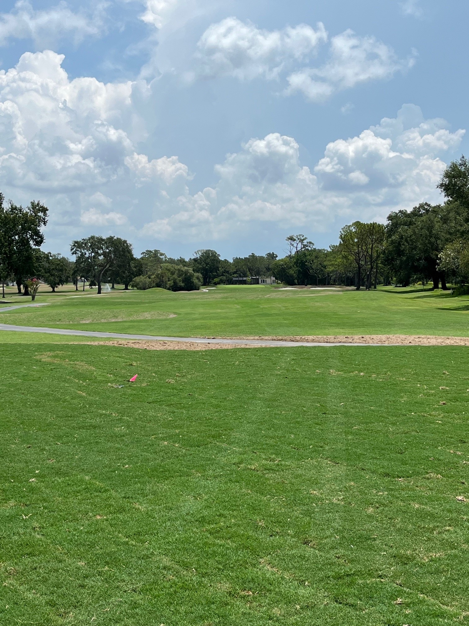 #12 #17 Combined Tee Completed - Spence Restoration